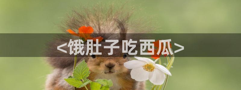 吃瓜小说：<饿肚子吃西瓜>