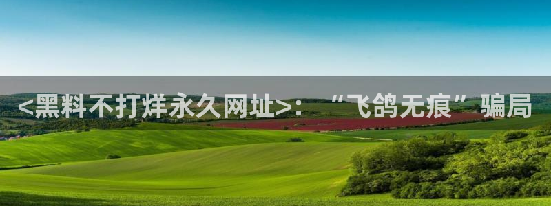 吃瓜小说