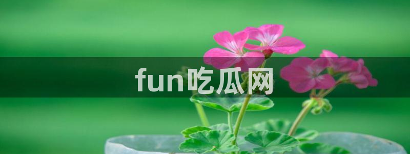 51cg吃瓜今日吃瓜