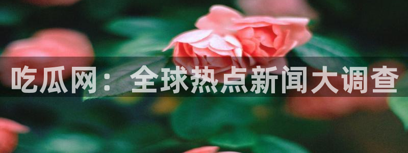 nanataipei今日吃瓜：吃瓜网：全球热点新闻大调查