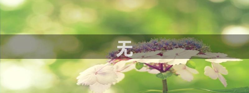 51吃瓜今日吃瓜入口：无