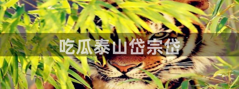 51吃瓜热心张津瑜：吃瓜泰山岱宗岱