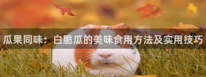 51吃瓜今日吃瓜必吃莫里秀：瓜果同味：白脆瓜的美味食用方法及实用技巧