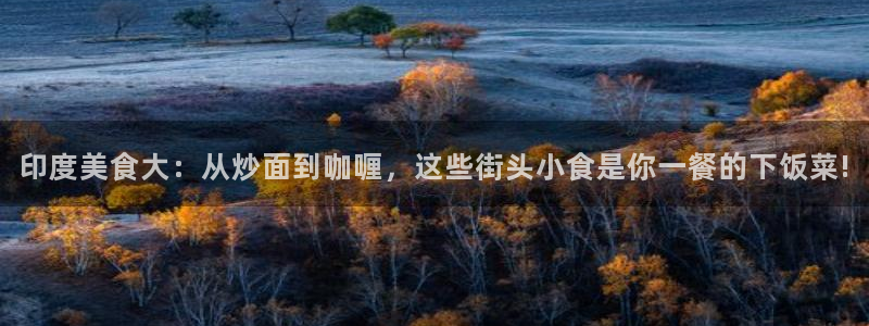 51吃瓜 张津瑜 网：印度美食大：从炒面到咖喱，这些街头小食是你一餐的下饭菜!