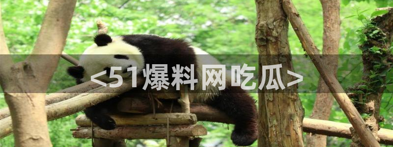 51cg吃瓜网每日吃瓜:<51爆料网吃瓜>