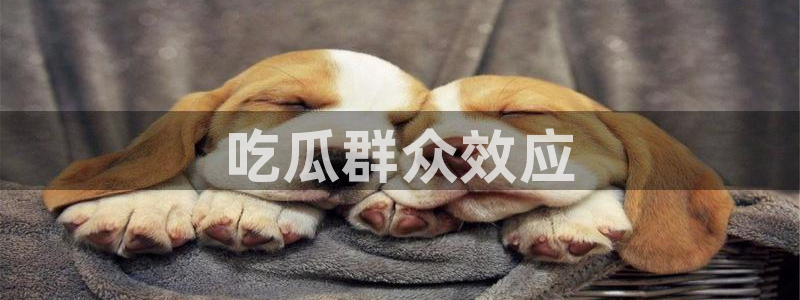 51cg热门大瓜今日吃瓜：吃瓜群众效应