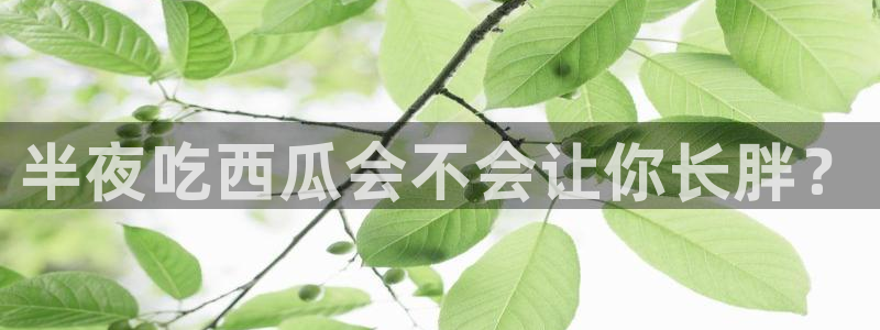 51cg吃瓜今日吃瓜：半夜吃西瓜会不会让你长胖？