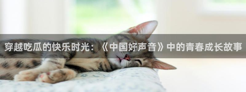 长生武道从九龙夺嫡开始吃瓜