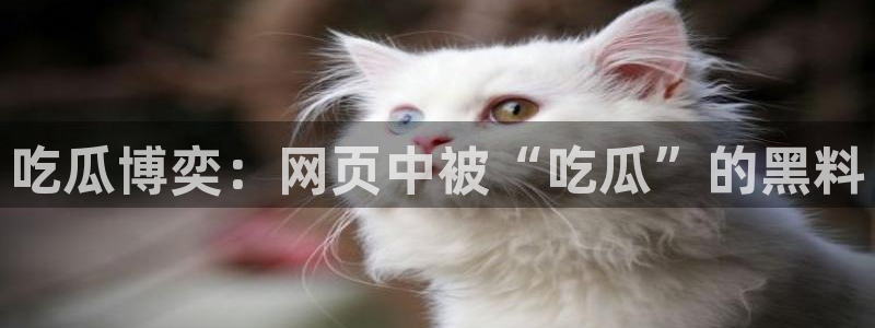 51吃瓜网小鹿酱