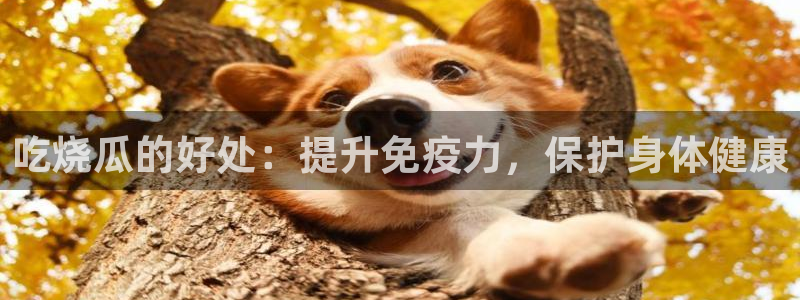 hongkongdoll 51吃瓜:吃烧瓜的好处:提升免疫力,保护身体健康