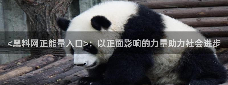 ccggme吃瓜网:<黑料网正能量入口>:以正面影响的力量助力社会进步