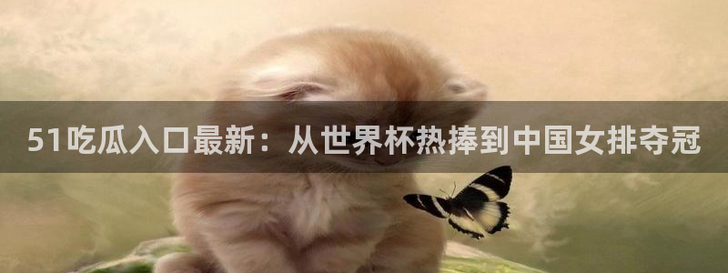 吃瓜不打烊–吃瓜,不打烊:51吃瓜入口最新:从世界杯热捧到中国女排夺冠
