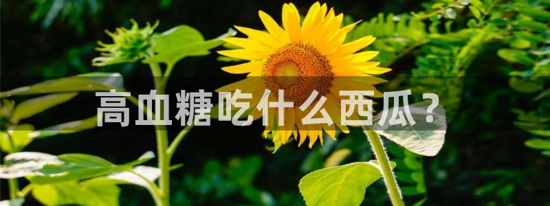 51吃瓜网今日吃瓜热门大瓜