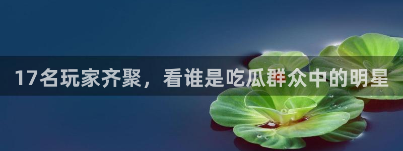 黑料下载:17名玩家齐聚,看谁是吃瓜群众中的明星