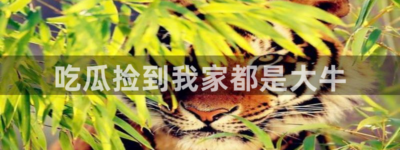 91吃瓜今日吃瓜入口：吃瓜捡到我家都是大牛